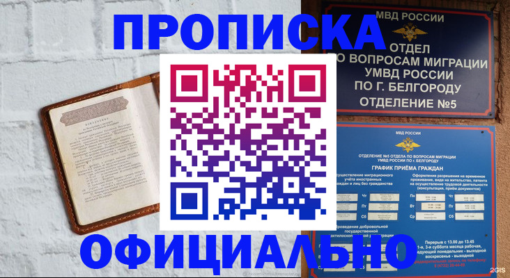 временная регистрация для школы в Тогучине